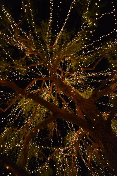 DSC_5812 (Large).JPG